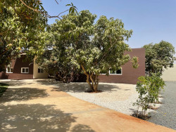 Le Lycée Français Jacques Prévert de Saly au Sénégal - Photo 6