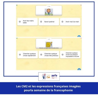 Quizz sur les expressions imagées en CM2