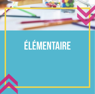 L'Éducation Élémentaire : Cycle 2 et 3 dans les Programmes Français
