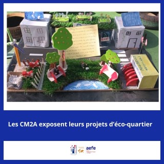 Les CM2 A vous invitent à découvrir leurs Eco Quartiers ! ✨🏡🌱