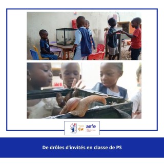 De nouveaux amis en Petite Section !
