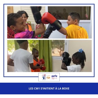 🥊 Premiers pas sur le ring ! Les CM1 font de la boxe